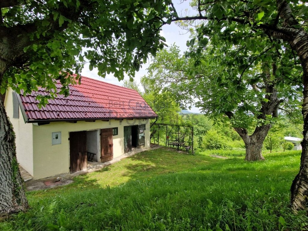 Image 5867789 - 1