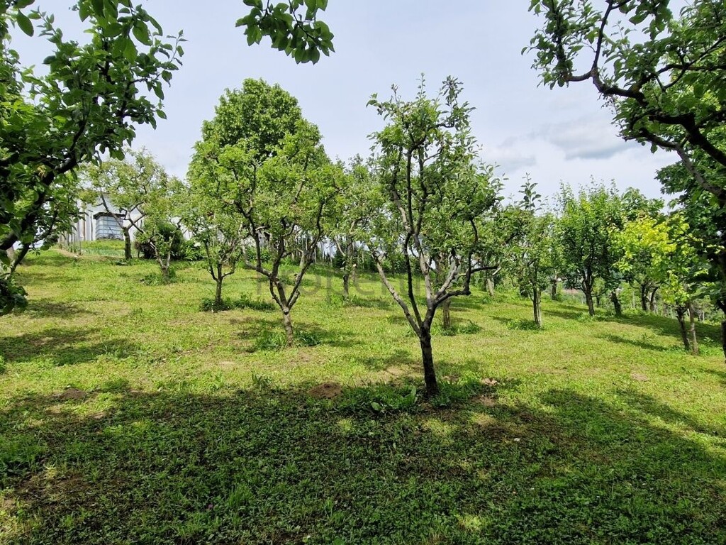 Image 5867789 - 4