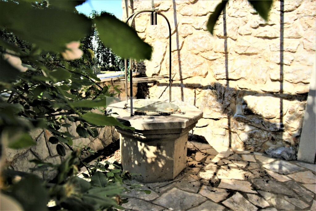 Image 5867978 - 4