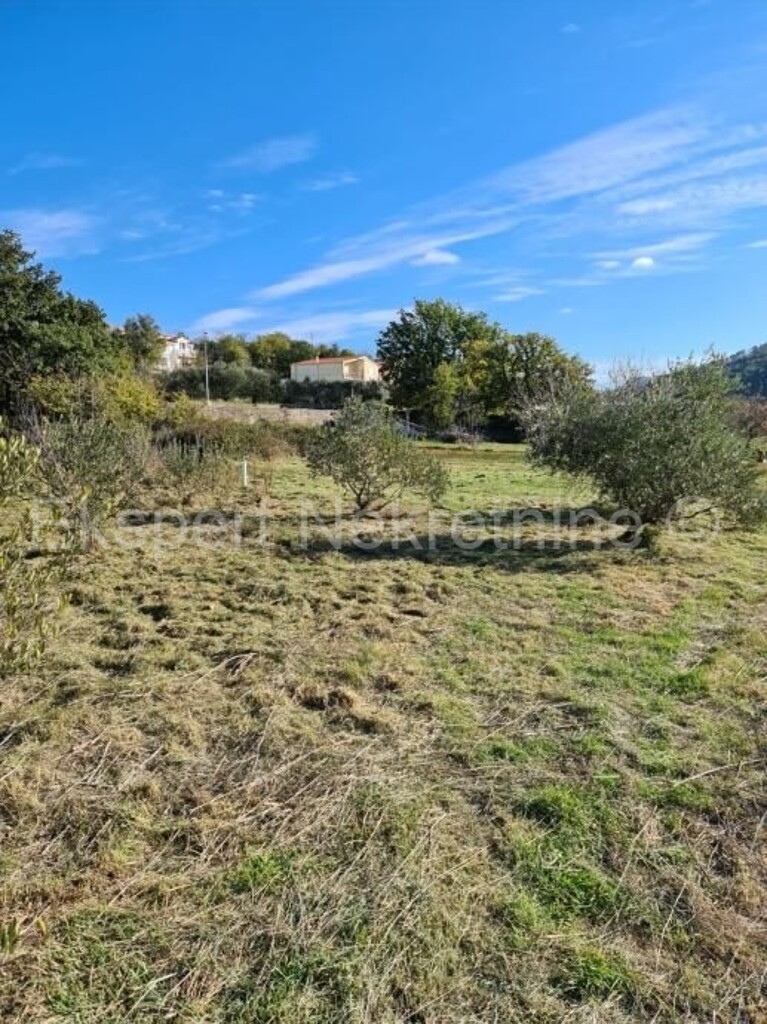 Image 5869126 - 2