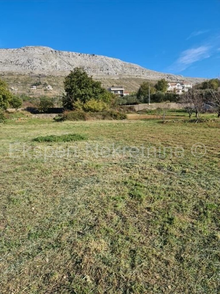 Image 5869126 - 3