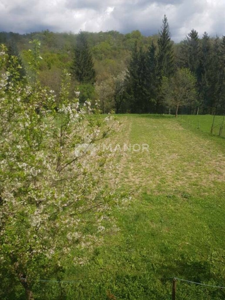 Image 5871018 - 3