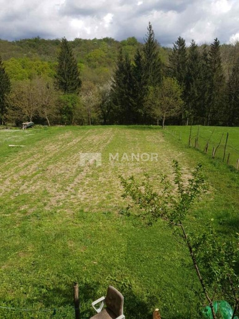 Image 5871018 - 2