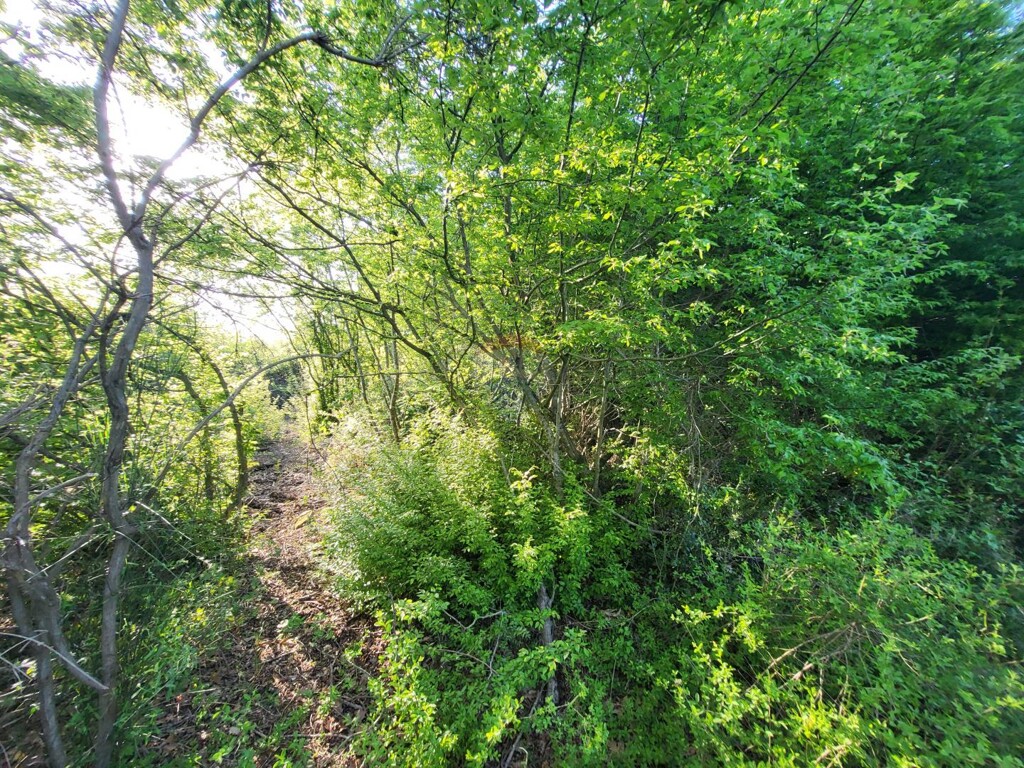 Image 5871046 - 1
