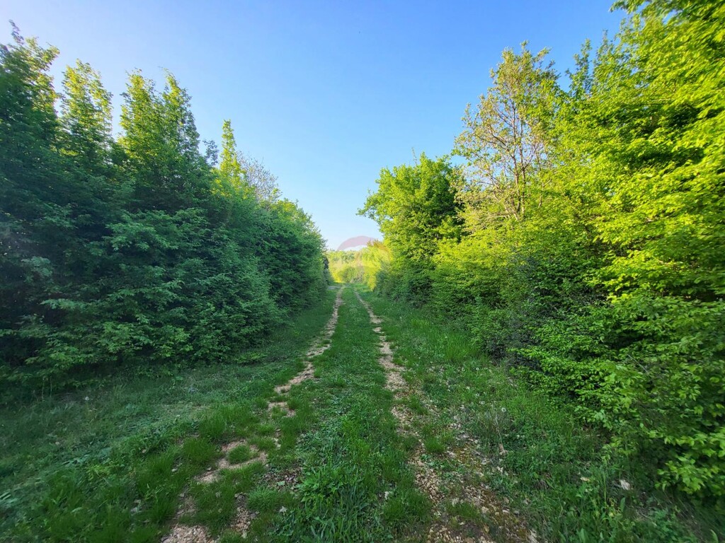 Image 5871046 - 3