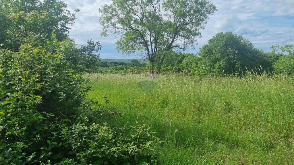 Image 5871053 - 4