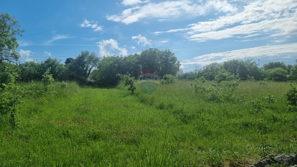 Image 5871053 - 6