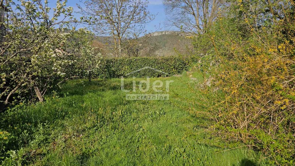 Image 5871261 - 3