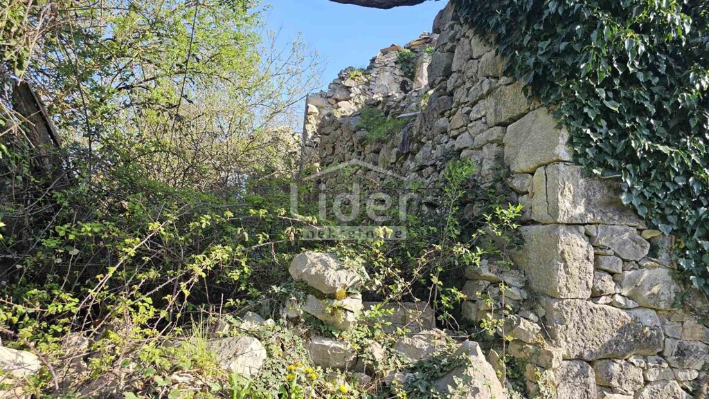 Image 5871261 - 8