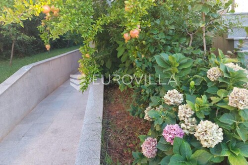 Thumbnail 5872111 - 6