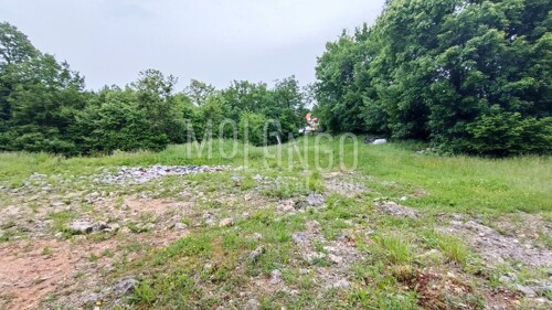 Thumbnail 5872229 - 5