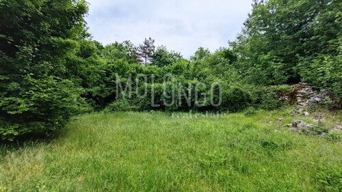 Thumbnail 5872229 - 6