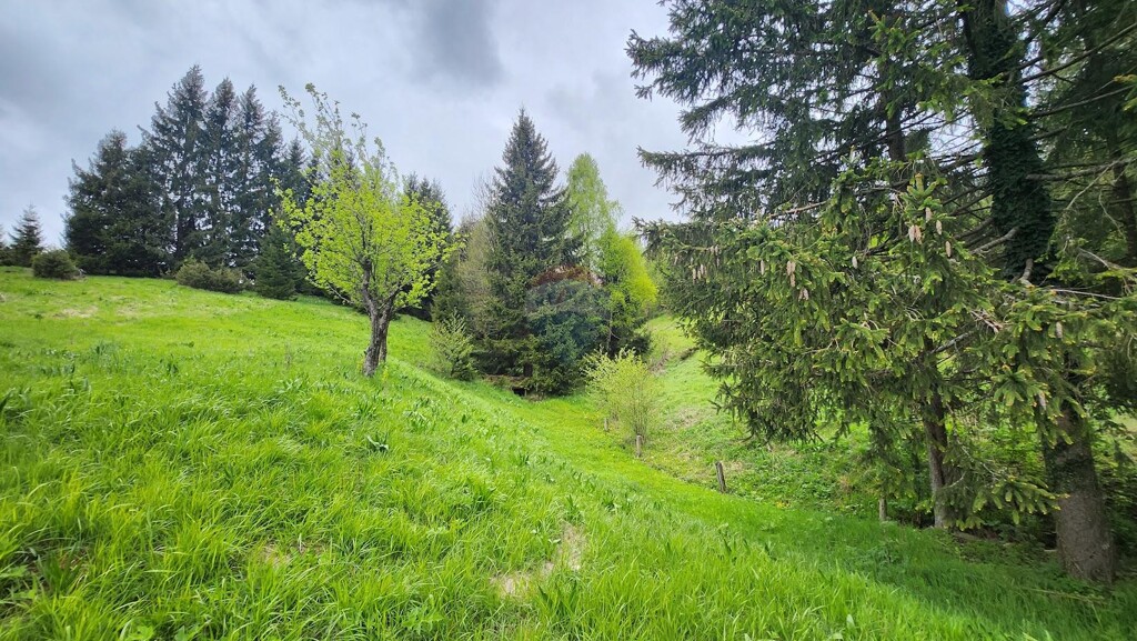 Image 5872464 - 14