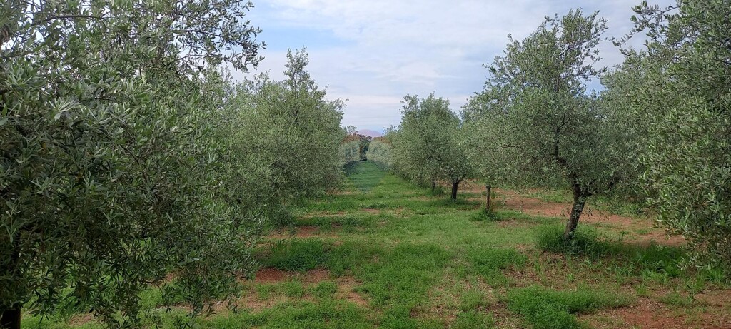 Image 5872466 - 3