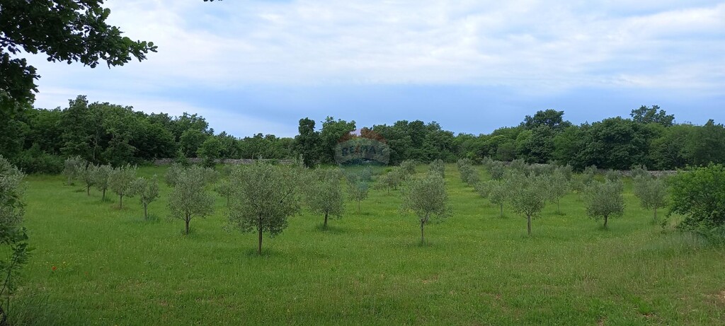 Image 5872466 - 11