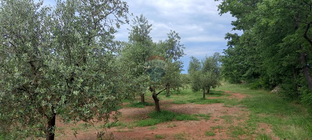 Image 5872466 - 1