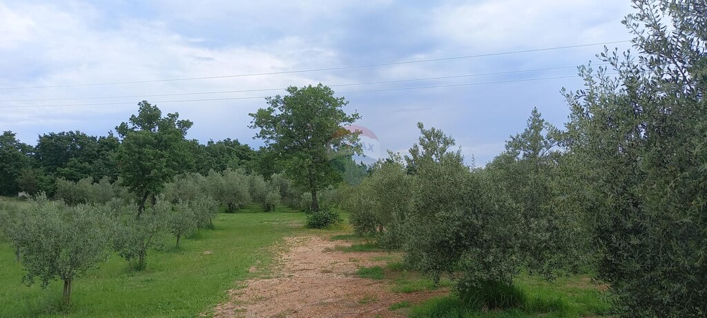 Image 5872466 - 10