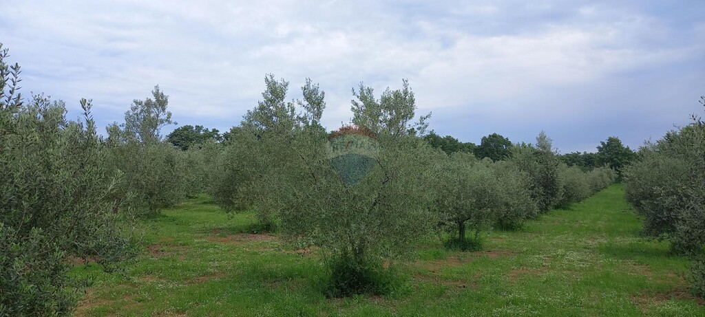 Image 5872466 - 5