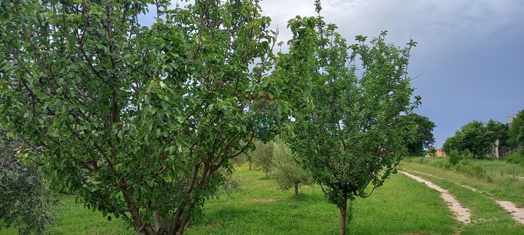 Image 5872466 - 21