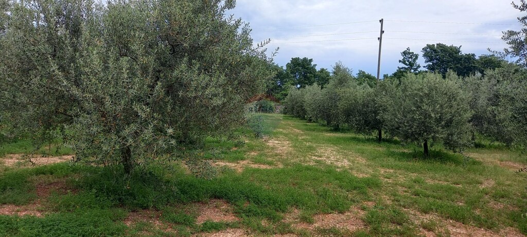 Image 5872466 - 15