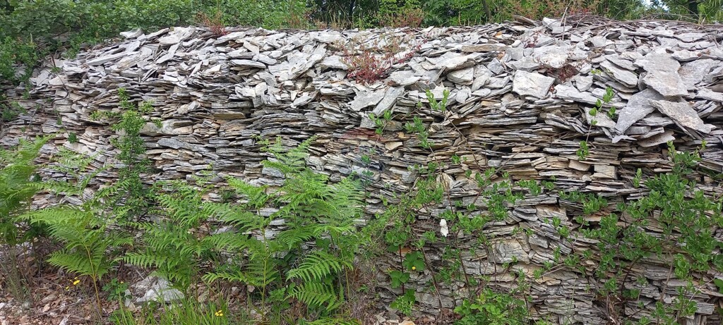 Image 5872466 - 22