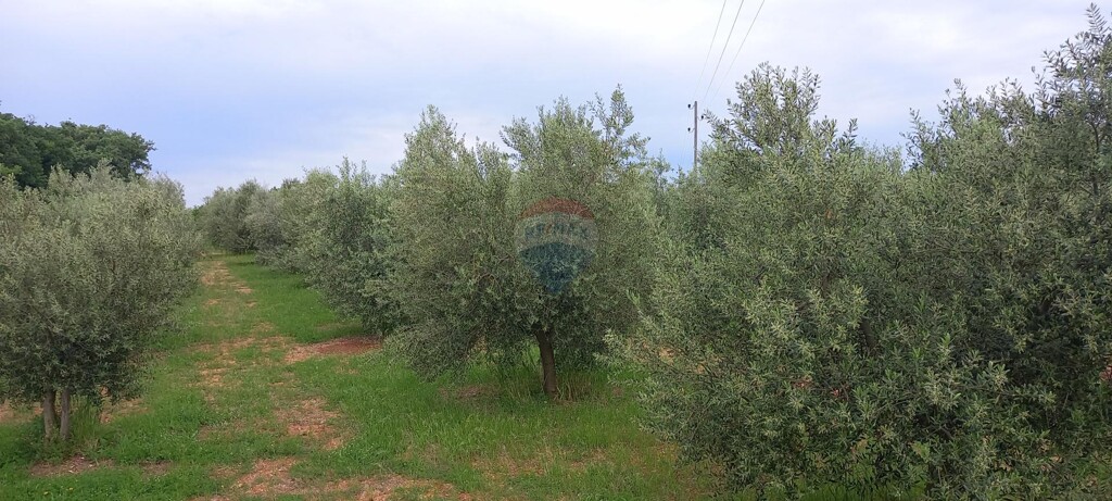 Image 5872466 - 13