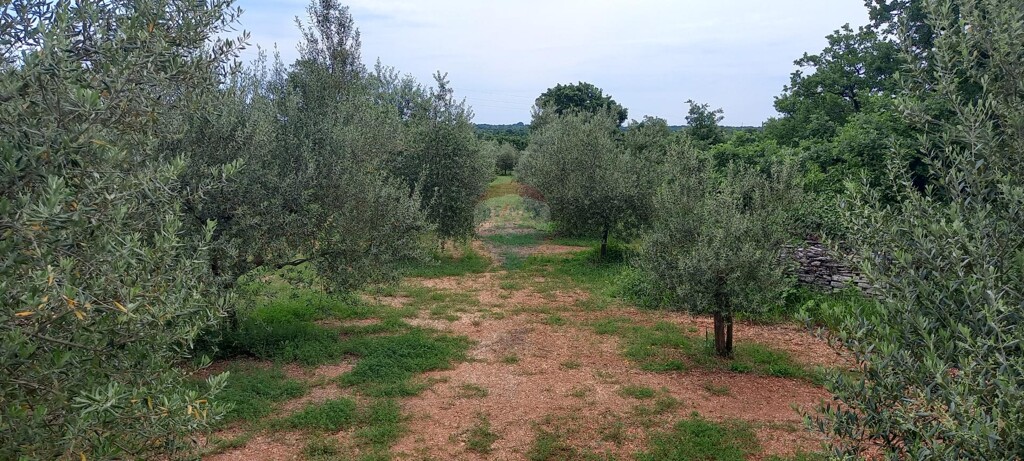 Image 5872466 - 16