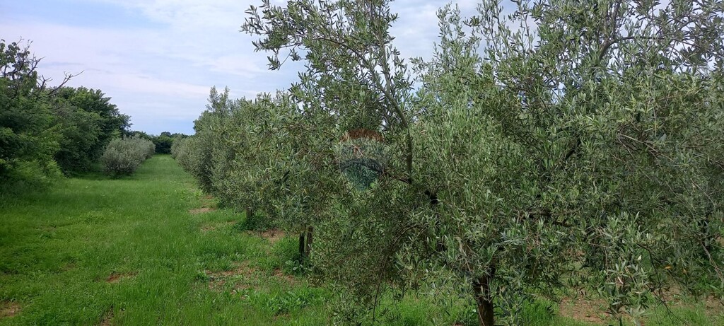 Image 5872466 - 4