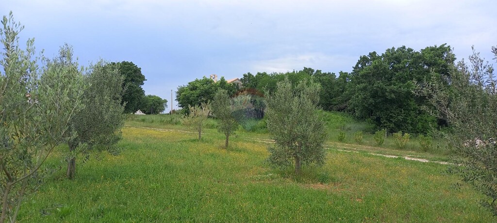Image 5872466 - 19
