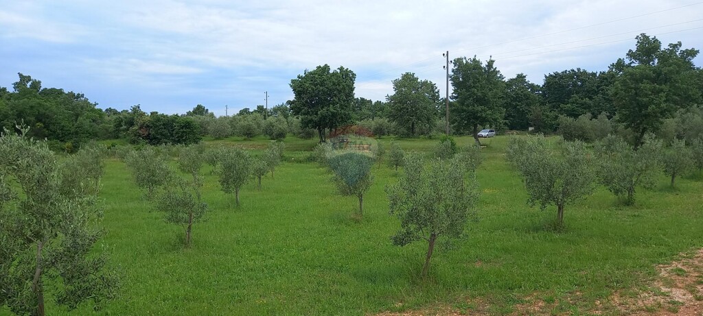Image 5872466 - 9