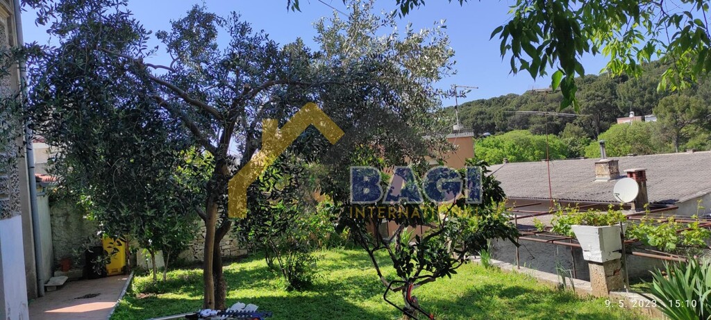 Image 5873963 - 2
