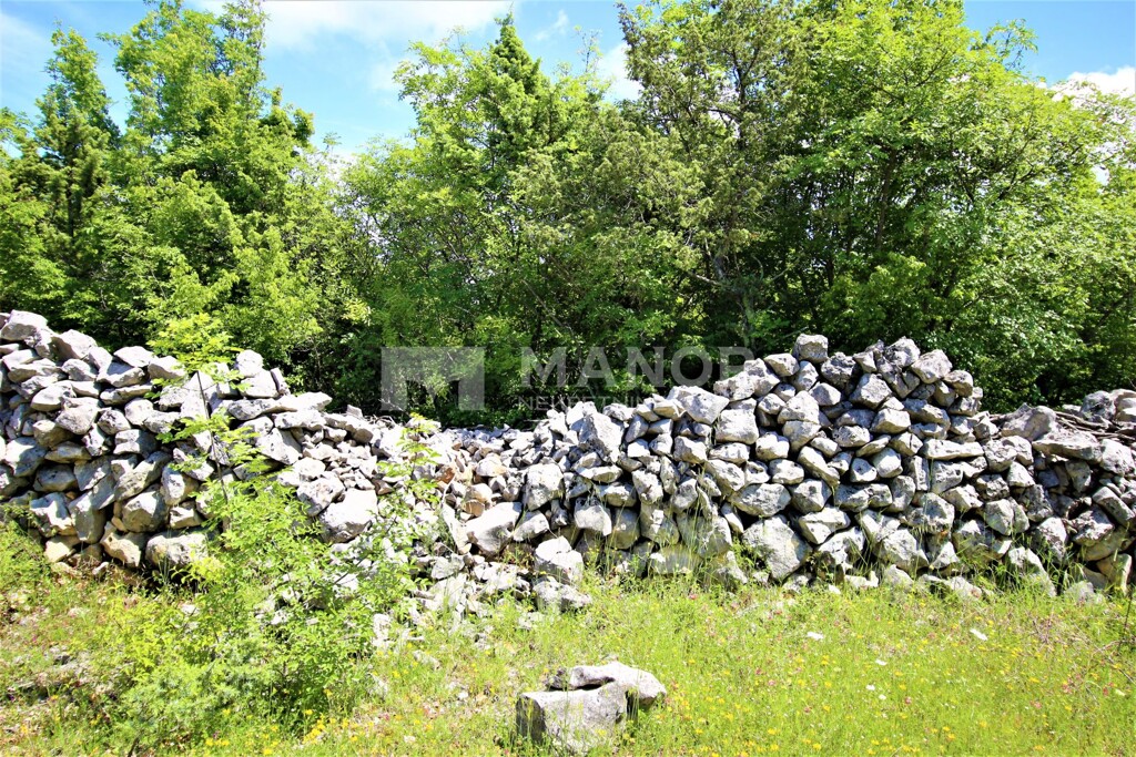Image 5874112 - 3