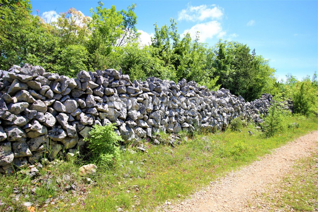 Image 5874112 - 1