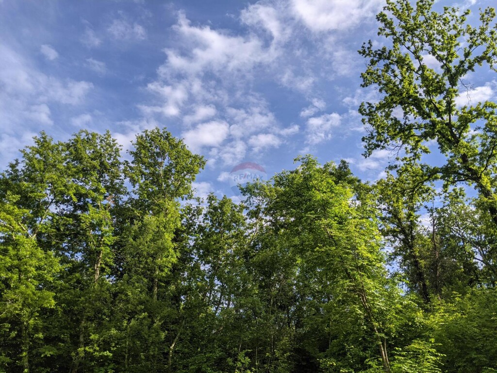 Image 5874137 - 2