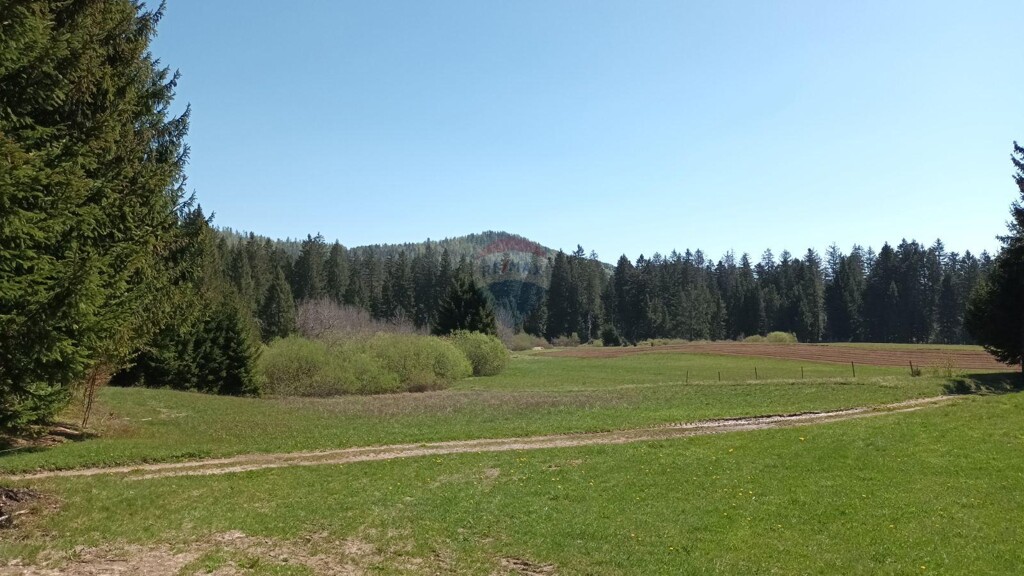 Image 5874142 - 10