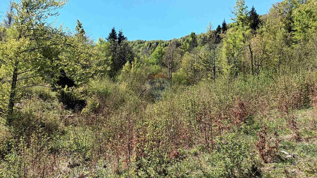 Image 5874142 - 5