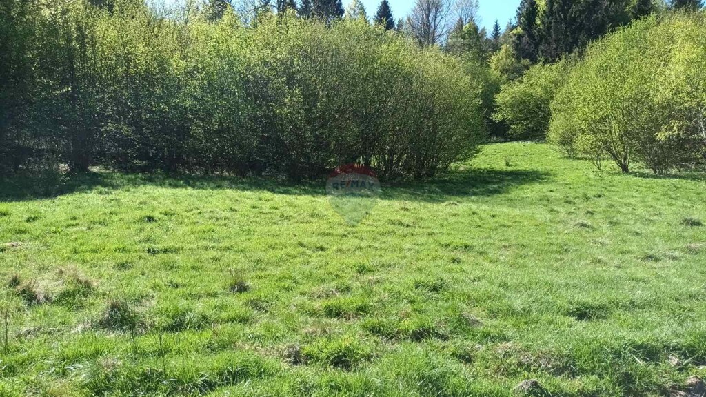 Image 5874142 - 1