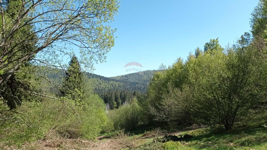 Image 5874142 - 8