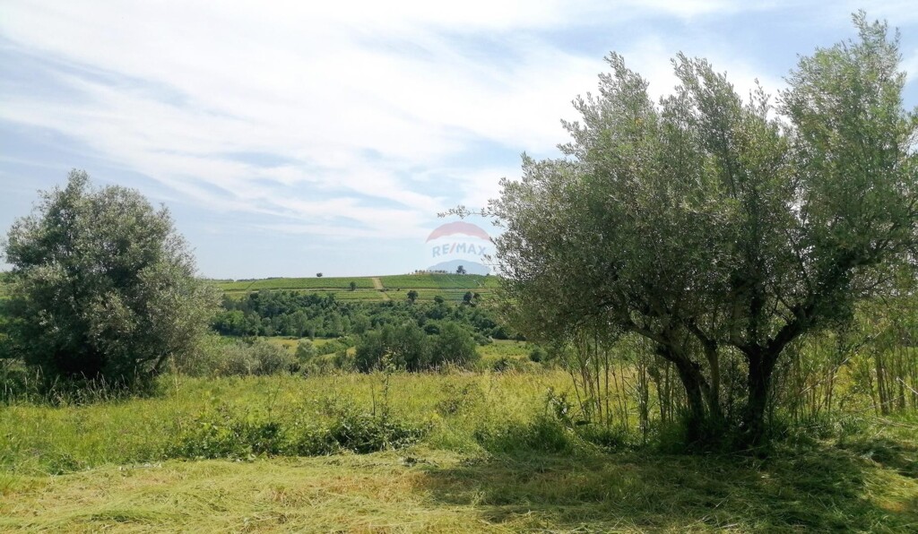 Image 5874149 - 4