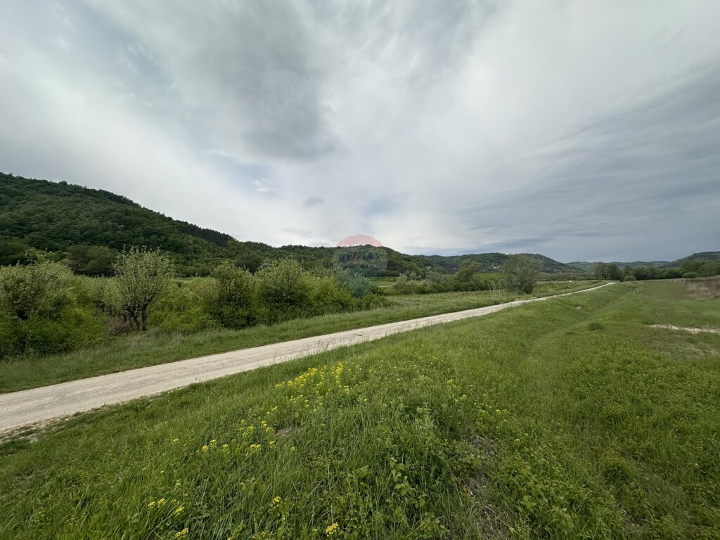 Image 5874151 - 3