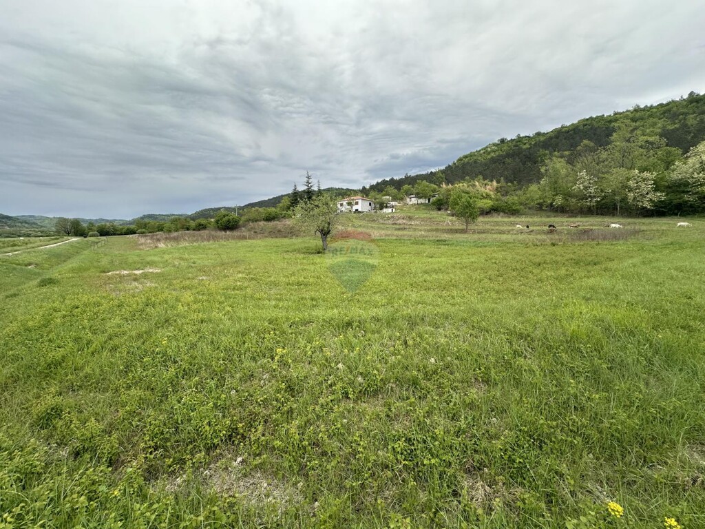 Image 5874151 - 2