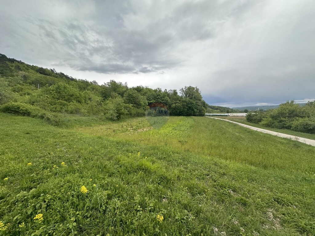 Image 5874151 - 4