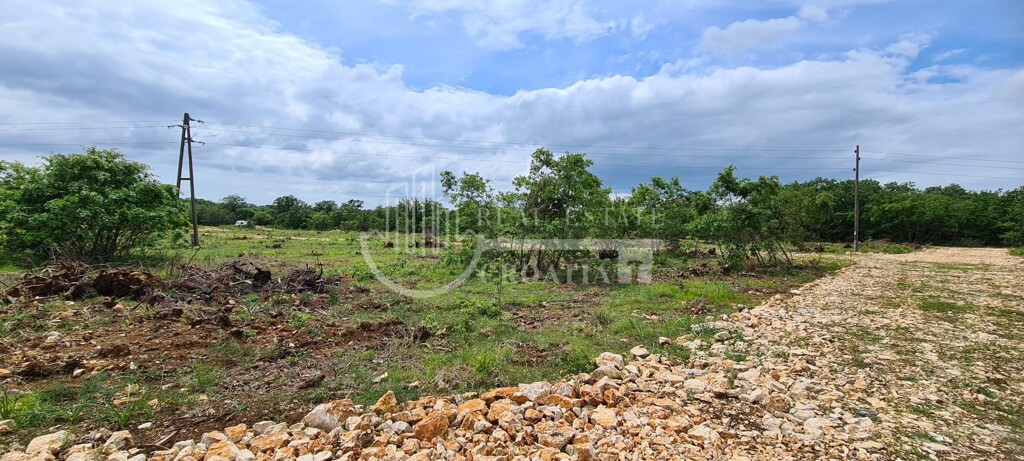 Image 5875125 - 1
