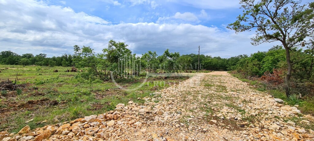 Image 5875125 - 2