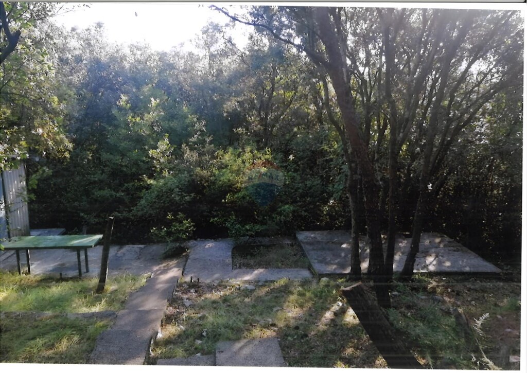 Image 5875332 - 2