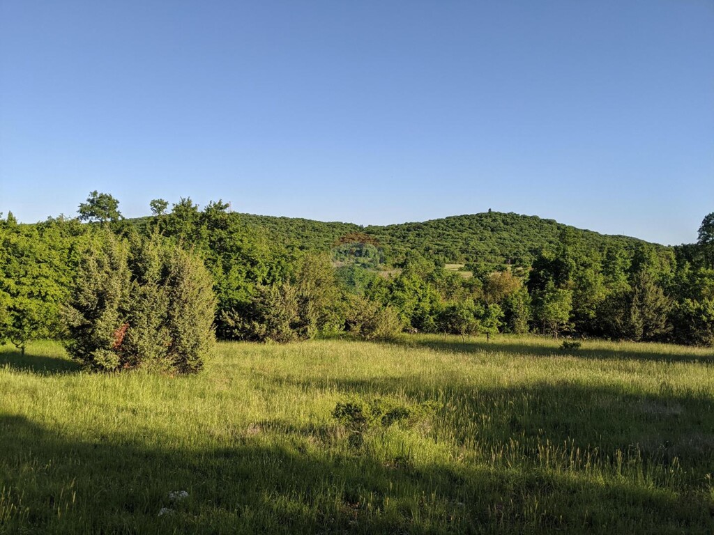 Image 5875333 - 1