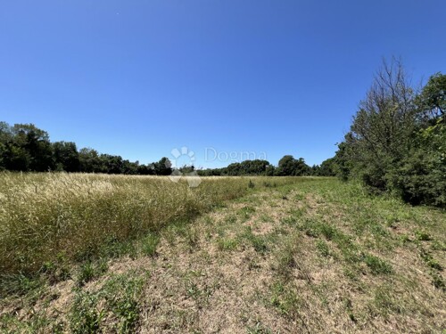 Thumbnail 5876588 - 5