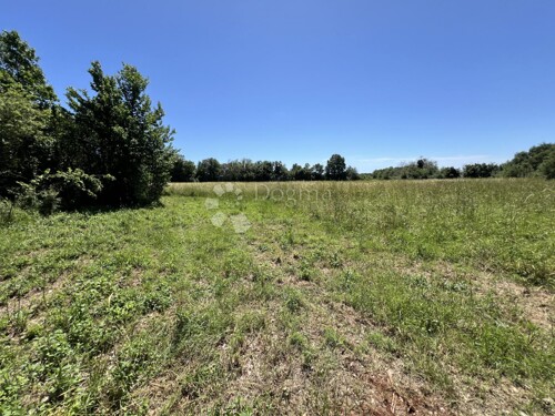 Thumbnail 5876588 - 3