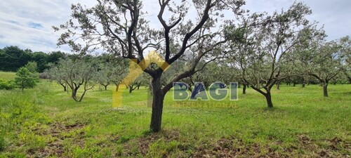 Thumbnail 5876609 - 3