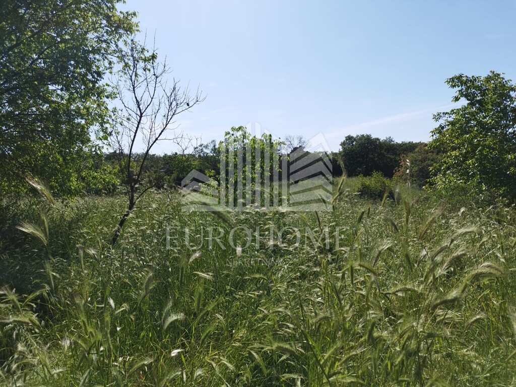 Image 5876615 - 20